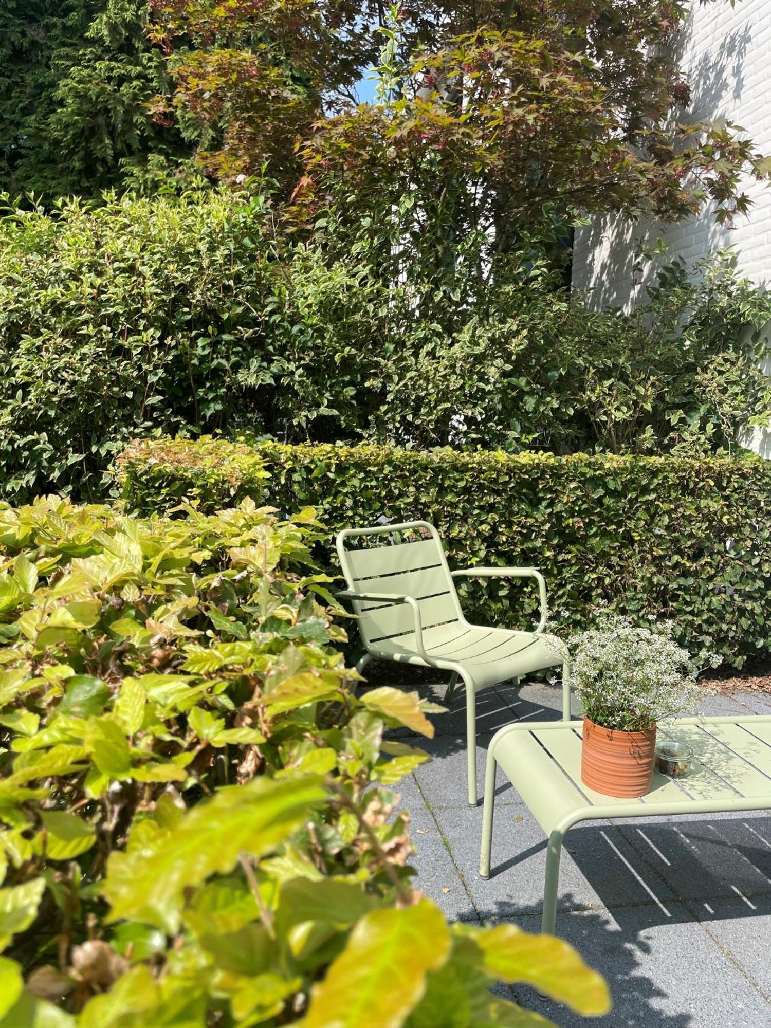 אפ Witte Berken Natuurhotel מראה חיצוני תמונה